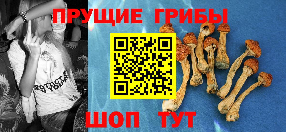 Псилоцибиновые грибы мицелий  где купить   Спасск-Дальний  Вход с VPN  Галлюциногенные грибы ЛСД 