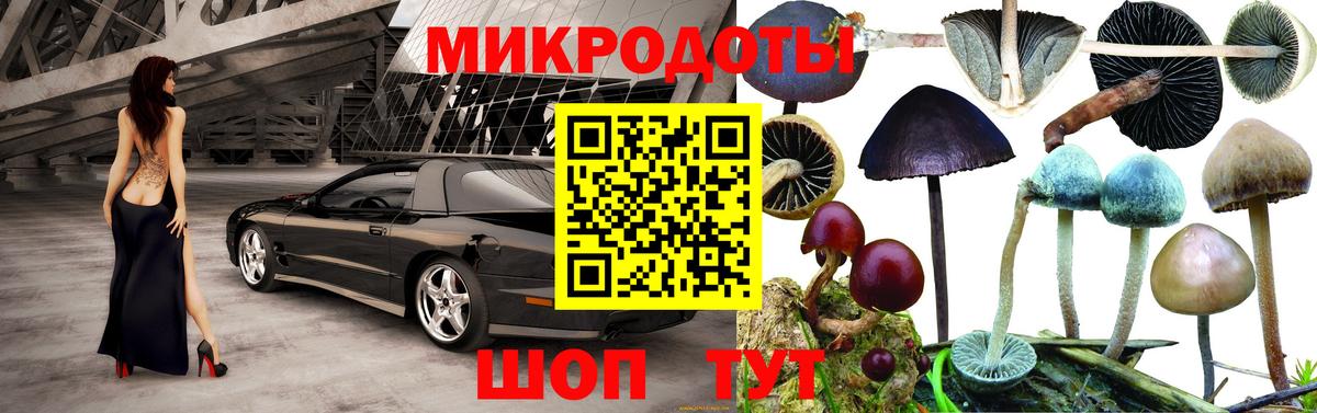 Псилоцибиновые грибы мухоморы Спасск-Дальний